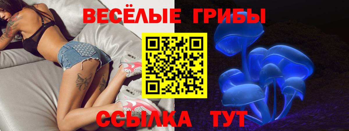 Галлюциногенные грибы Magic Shrooms  Вход с VPN  Камышлов 